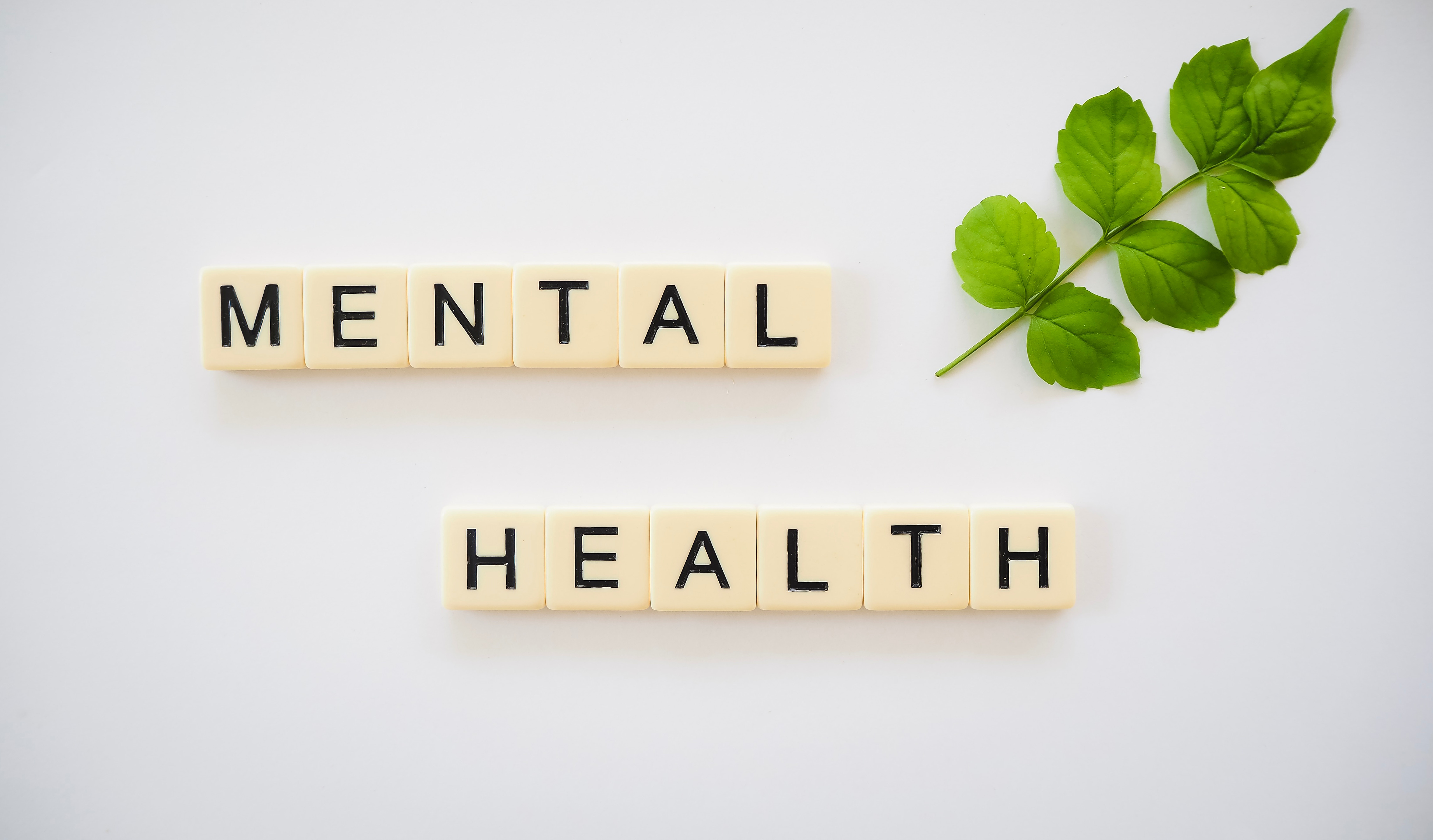 Mental Health Technology Research Take Part In Research